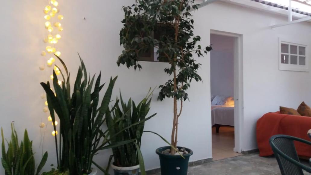 Hostal Casa 95 Vicuña Kültér fotó