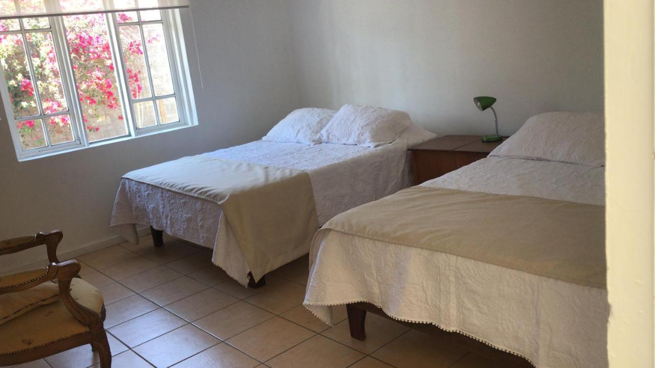 Hostal Casa 95 Vicuña Kültér fotó